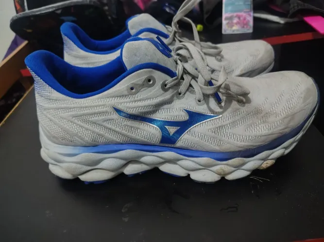 Tênis Mizuno Running (38)