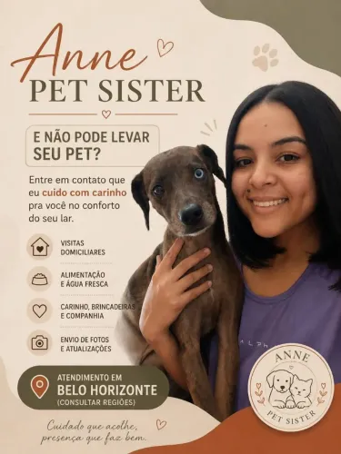 Pet Sitter e dog walker 
