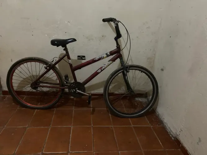 Bicicleta