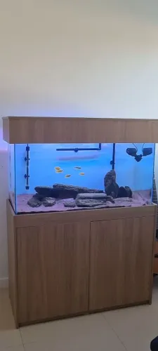 Aquário 200L completo