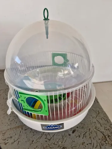 Gaiola para hamsters com tubo playground