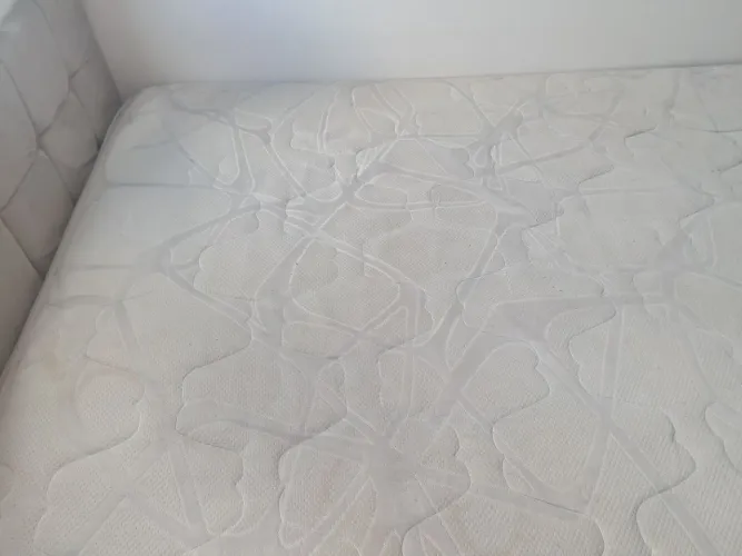 Cama Box