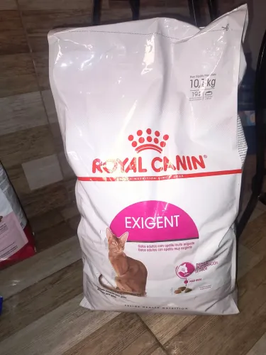 Raça Royal Canin Gato 