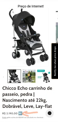 Carrinho de Bebê Chicco Echo (Semi-Novo) - Perfeito Estado!