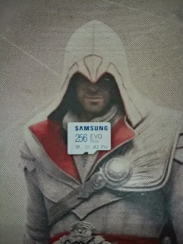 SD Card 256GB Samsung Evo Plus