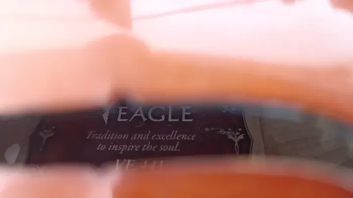 Violino Eagle 