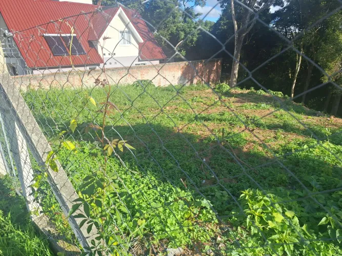 Terreno Pilarzinho 372m2