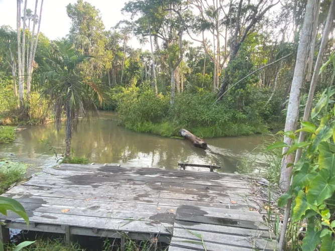 garape lindo no km 21 quem vai pra alter do chão na comunidade sao Pedro 3 km do asfalto