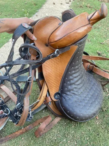 Vendo cela e rédea 