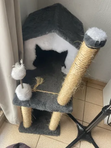 Arranhador para gatos
