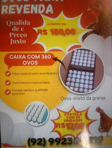 Ovos de galinha