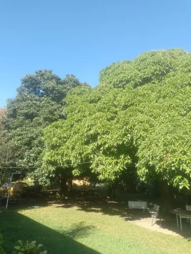 Casa de 200 mts quadrados com terreno de 1690 mts quadrados.