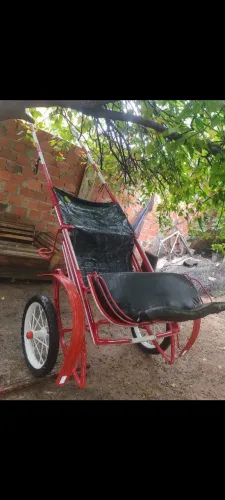 Charrete pra venda .
