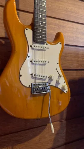 Stratocaster Strinberg