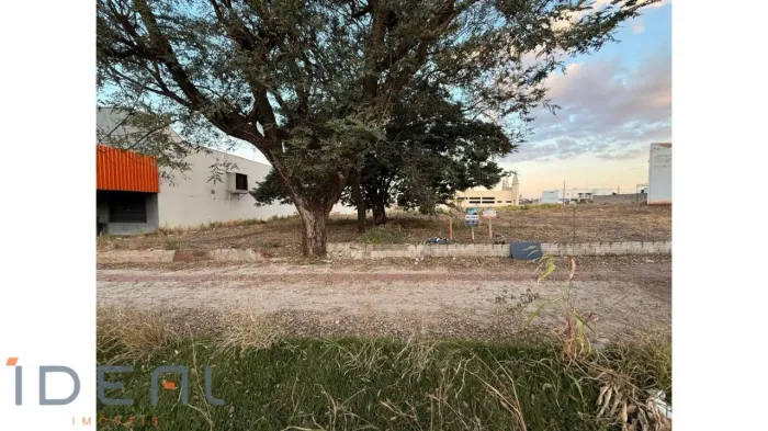 Terreno para alugar no bairro Jardim Veneza - Maringá/PR