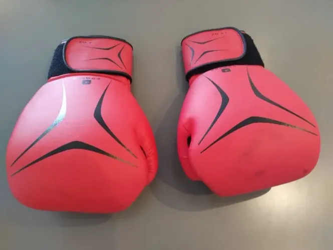 Luva de Luta Domyos 14oz