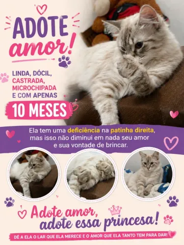 Doação responsável