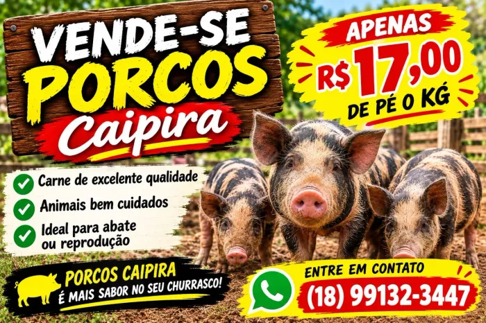 Vendo leitões