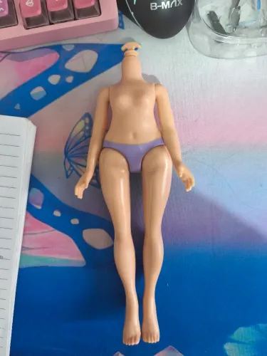 Corpo de boneca rainbow high