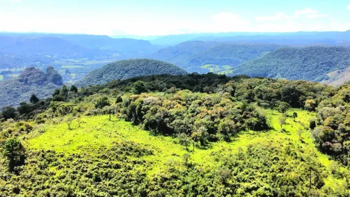 Terreno com 79 hectares frente para a SC 114
