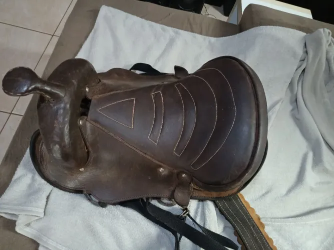 Sela de cavalo