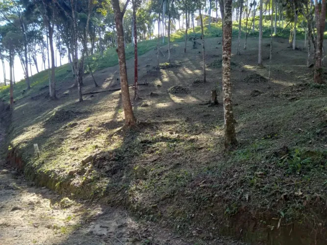 Terreno em condomínio fechado em Santo Amaro da Imperatriz