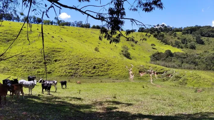 Terreno Rural com Nascente - ideal para criação de gado e plantio - 8km de Crucilândia MG