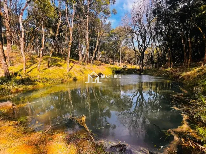 Chácara com 3 dormitórios à venda, 5000 m² por R$ 1.200.000,00 - Marmeleiro - Piraquara/PR