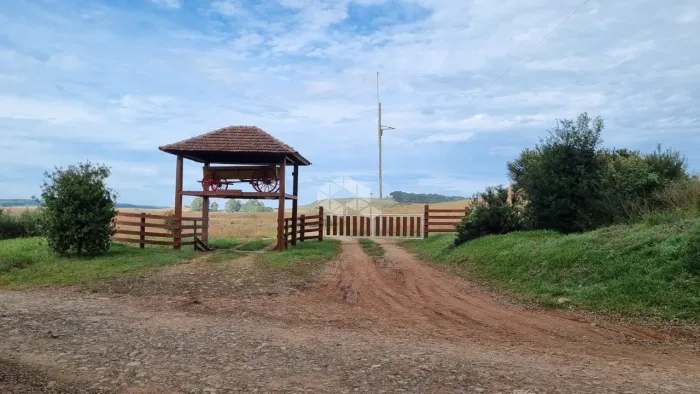 20 ha de terras com 13 ha de lavoura no Juá em São Francisco de Paula RS
