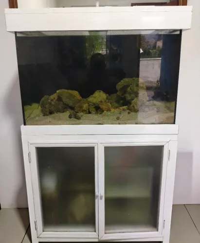 Aquário completo