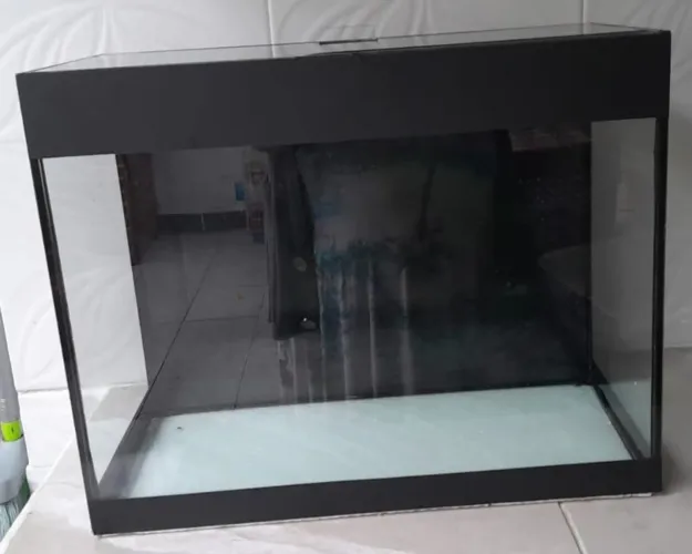 Aquário de peixe de 50 litros