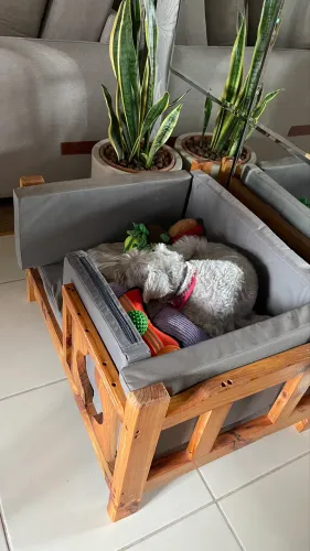 Caminha para Pet de Pallet Incrivelmente semi nova