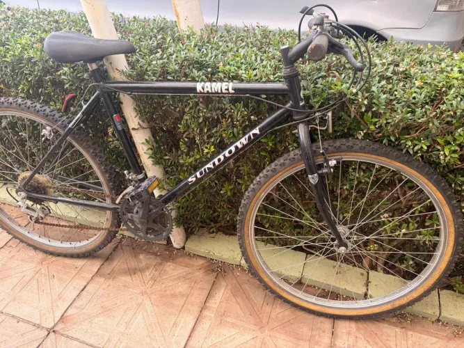 Bicicleta antiga