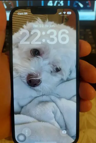 iPhone 13 zerado 128 gb