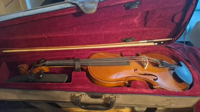 Violino 