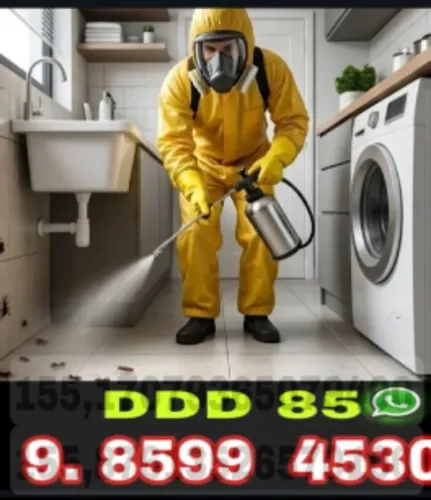 Dedetização com Orçamento Rápido e Excelente Custo-Benefício