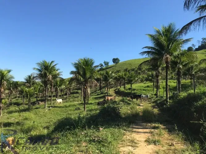 Sítio á venda em Pau D'Óleo em Guarapari-ES