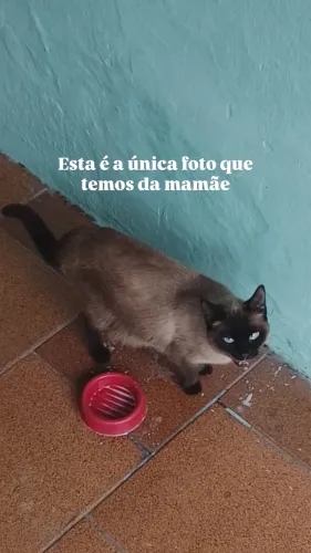 Doação