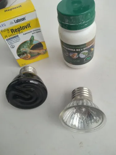 Kit para Répteis Cálcio luz noturna luz de aquecimento termômetro ambientes polivitaminas