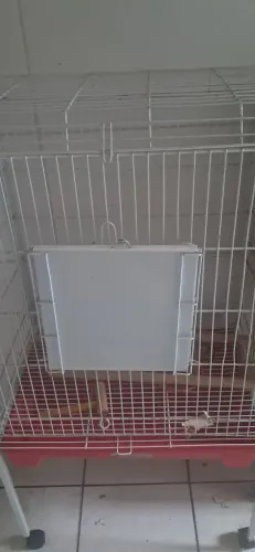 Gaiola para calopsita