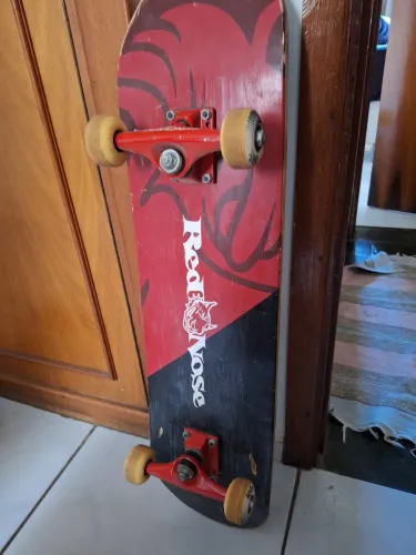 Skate usado