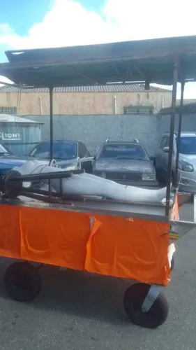 Carrinho de camelô 