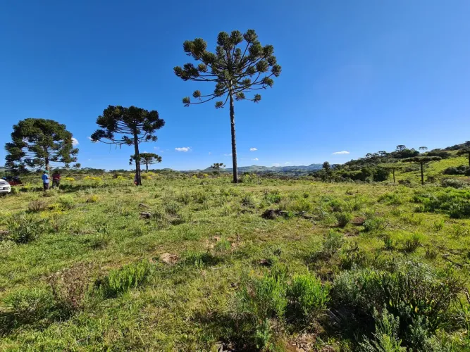 Fazenda com 400.000 m² -São Joaquim/SC