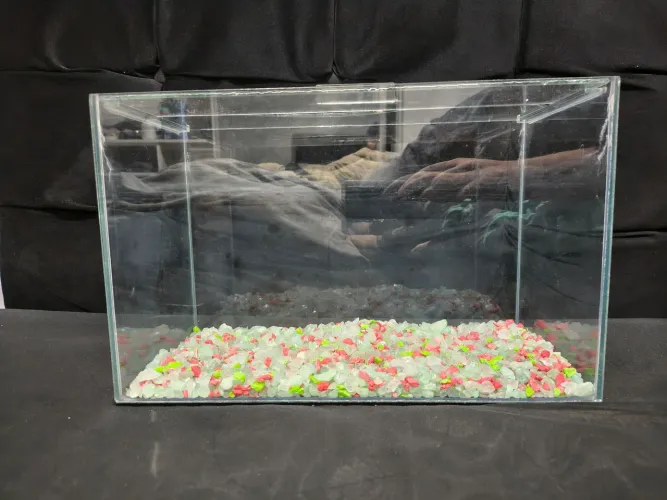 Aquário 13 Litros 35x17x22 com tampa