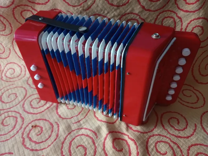 Mini acordeão infantil.