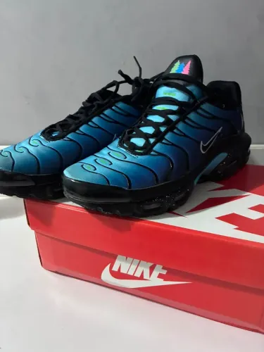 Air Max Tn 1 Nature Blue