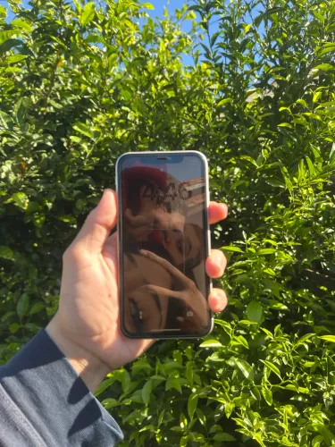 IPHONE 11 128gb