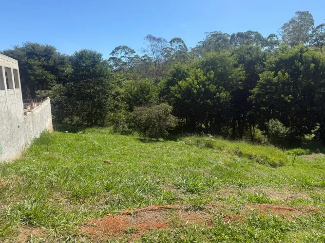 Terreno único, sem vizinho nos fundos e lateral