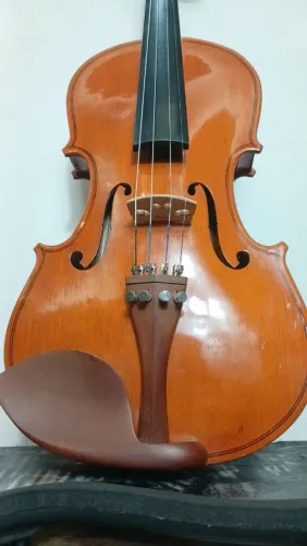 Violino parrot 4/4