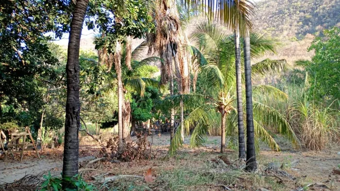 Vendo chácara campos Belos Goiás